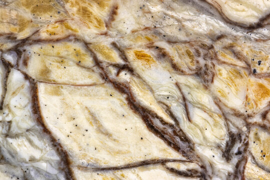 Linear Patterns In A Grey And Beige Maligano Jasper  