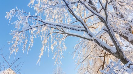 the branches of a tree are covered with ice and icicles on a sunny day in a city park, with a blue sky in the background.