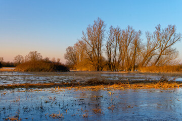 NSG Wernaue bei Ettleben im Winter, zwischen den Orten Ettleben und Schnackenwerth, Markt Werneck, Landkreis Schweinfurt, Unterfranken, Bayern, Deutschland