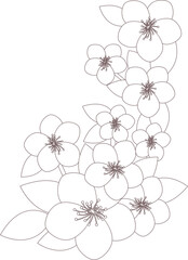 Vector frame of cherry blossoms.
