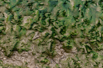 Schlick und Wasserpflanzen am Flussufer der Reuss Nähe Mellingen im Kanton Aargau in der Schweiz