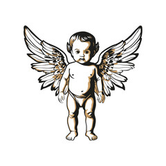 A baby angel stands in full growth on his feet with wings behind his back. Vintage engraving drawn by hand in vector. Cupid figure isolated.