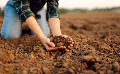 Farmer woman holding soil in hands close-up. Cultivated dirt, earth, ground, brown land background, nature.