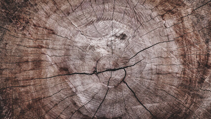 Light brown old hard wood with cracks, natural cross-section of a tree for abstract  Horizontal seamless wooden background and texture.Backdrop,  patterns, space for work, vintage wallpaper.Close up.