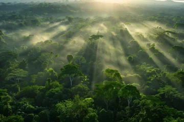 Papier Peint photo Kaki A breathtaking vista of a lush, green forest canopy from above, with rays of sunlight piercing through the mist at dawn, symbolizing the natural beauty and resilience of our planet on Earth Day.