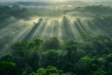 Fotobehang A breathtaking vista of a lush, green forest canopy from above, with rays of sunlight piercing through the mist at dawn, symbolizing the natural beauty and resilience of our planet on Earth Day. © Hanzala