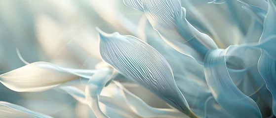 Foto op Canvas Yucca Harmony: Extreme close-up unveils nature's harmonious design, each filament a note in a calming symphony. © BGSTUDIOX