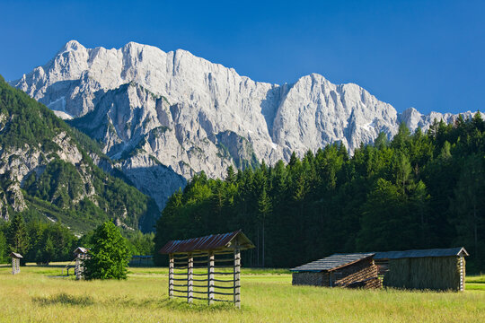 Slowenien, Mojstrana, Feld, Wald, Berge, Kalkstein,