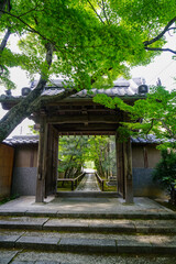 Fototapeta na wymiar 京都鷹峯光悦寺の参道の風景