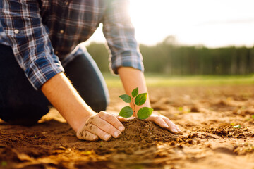 Сlose up hand of person holding abundance soil with young plant. Concept green world earth day....