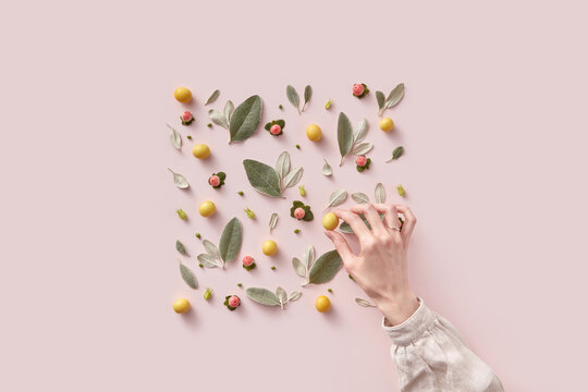 Woman taking cherry plum from square shaped composition