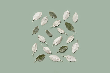 Painted tree foliage and sage leaves arranged in square shape