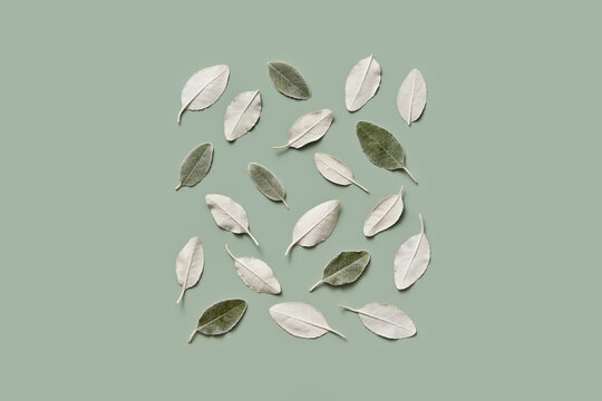 Painted tree foliage and sage leaves arranged in square shape
