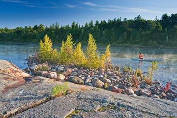 Foto op Plexiglas Kanada, Ontario, Lake Huron, North Channel, St. Joseph, Ufer, Birken © Rainer Mirau