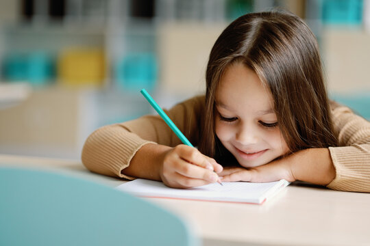 Cute pupil smiling writing. Subject elementary school
