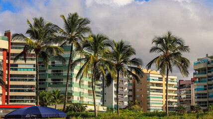 Fototapeta na wymiar Árvores palmeiras em frente a prédios próximo a orla da rivieira de são lourenço, bertioga, sp, brasil