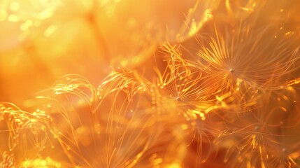 Serene Petals: Macro view of dandelion's soothing sway in fluid form.