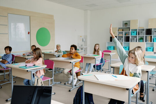 Students having lesson at school 