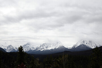 Naklejka premium Views of the icefield parkway between Jasper and Lake Louise - Banff National Park - Alberta - Canada