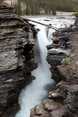 Athabasca falls - between Jasper and Lake Louise - Jasper National Park - Alberta - Canada