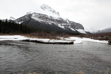 Surrounding views from the icefield parkway between Jasper and Lake Louise - Banff National Park -...