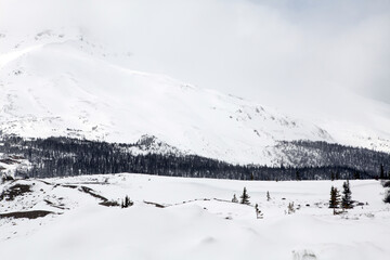 Obraz premium Views surounding the icefield parkway - Columbia icefield - Athabasca glacier - Alberta - Canada