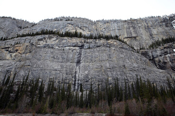 Fototapeta na wymiar Surrounding views from the icefield parkway between Jasper and Lake Louise - Banff National Park - Alberta - Canada