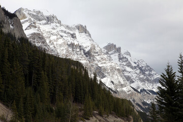 Obraz premium Surrounding views from the icefield parkway between Jasper and Lake Louise - Banff National Park - Alberta - Canada