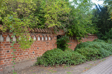 Old overgrown wall in the historic old town of Wismar