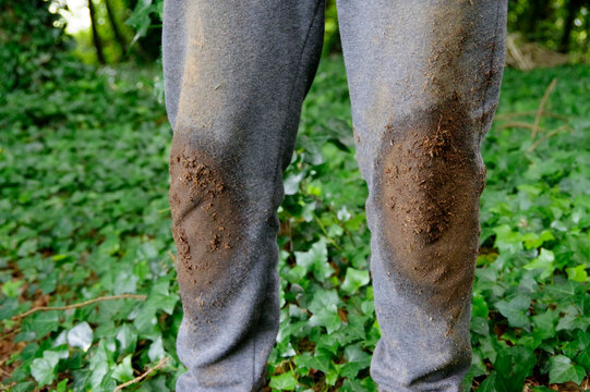 Gardeners dirty knees
