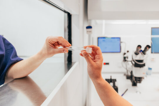 Crop anonymous biologists with test tube in IVF procedures in lab