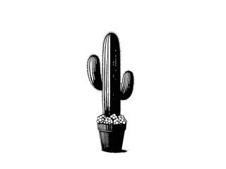 Prickly Paradise: Detailed Cactus Vector Art for Home Decor and Botanical Enthusiasts