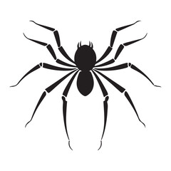 A black silhouette spider