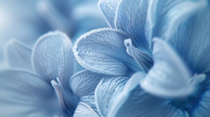 Frosty Bloom: Macro captures the delicate frost on wildflower bluebell petals, evoking a serene atmosphere.