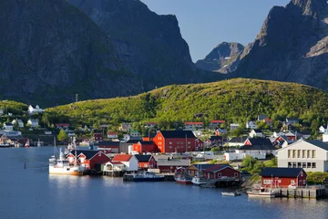Foto auf gebürstetem Alu-Dibond Reinefjorden Norwegen, Nordland, Lofoten, Moskenesoya, Reine, Reinefjorden, Hamnoya