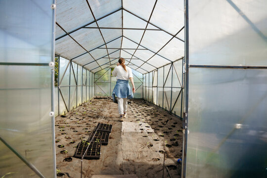 A farmer in a greenhouse with seedlings