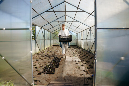 A farmer carries a box with seedlings of flowers in his hands