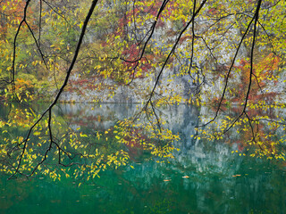 Kroatien, Nationalpark Plitvice Seen, See, Zweige, Blätter