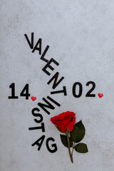 Card for 14.02. Valentine's Day with rose postcard - 753835733