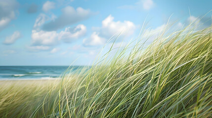 Coastal grasses swaying gently in the ocean breeze