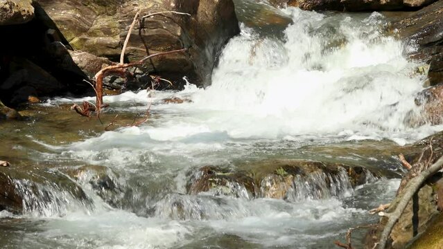 slow motion footage of the rushing water, rocks and waterfall at Anna Ruby Falls with lush green trees and plants in Helen Georgia USA