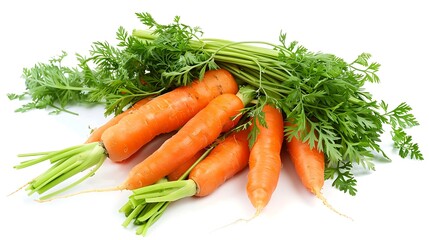 A bunch of vibrant carrots with green tops, isolated on white