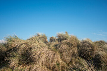 grassy hillock with blue sky