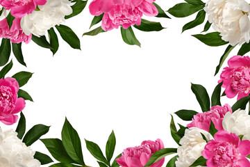 Festive floral frame. Pink and white peony flowers with leaves isolated on white background. Design...