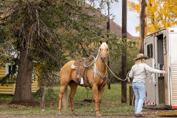 Cowgirl Unloading or Loading Palomino Quarter horse from a Aluminum horse trailer