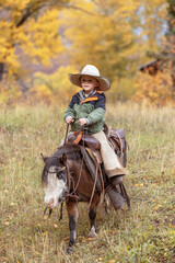 Little cowboy riding a cute pony or mini horse