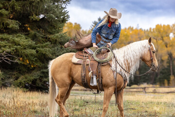 Colorado Cowgirl mounting a palomino horse
 in the mountains with colorful aspens in the background - obrazy, fototapety, plakaty