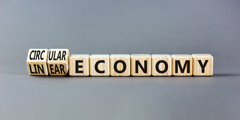 Circular or linear economy symbol. Concept words Circular economy or Linear economy on blocks....