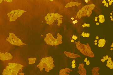 Vintage Tiger Tropical Pattern. Print Skin