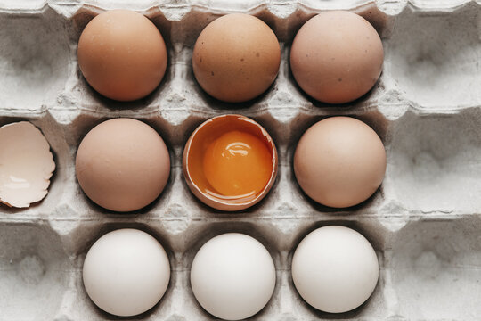Farm fresh eggs